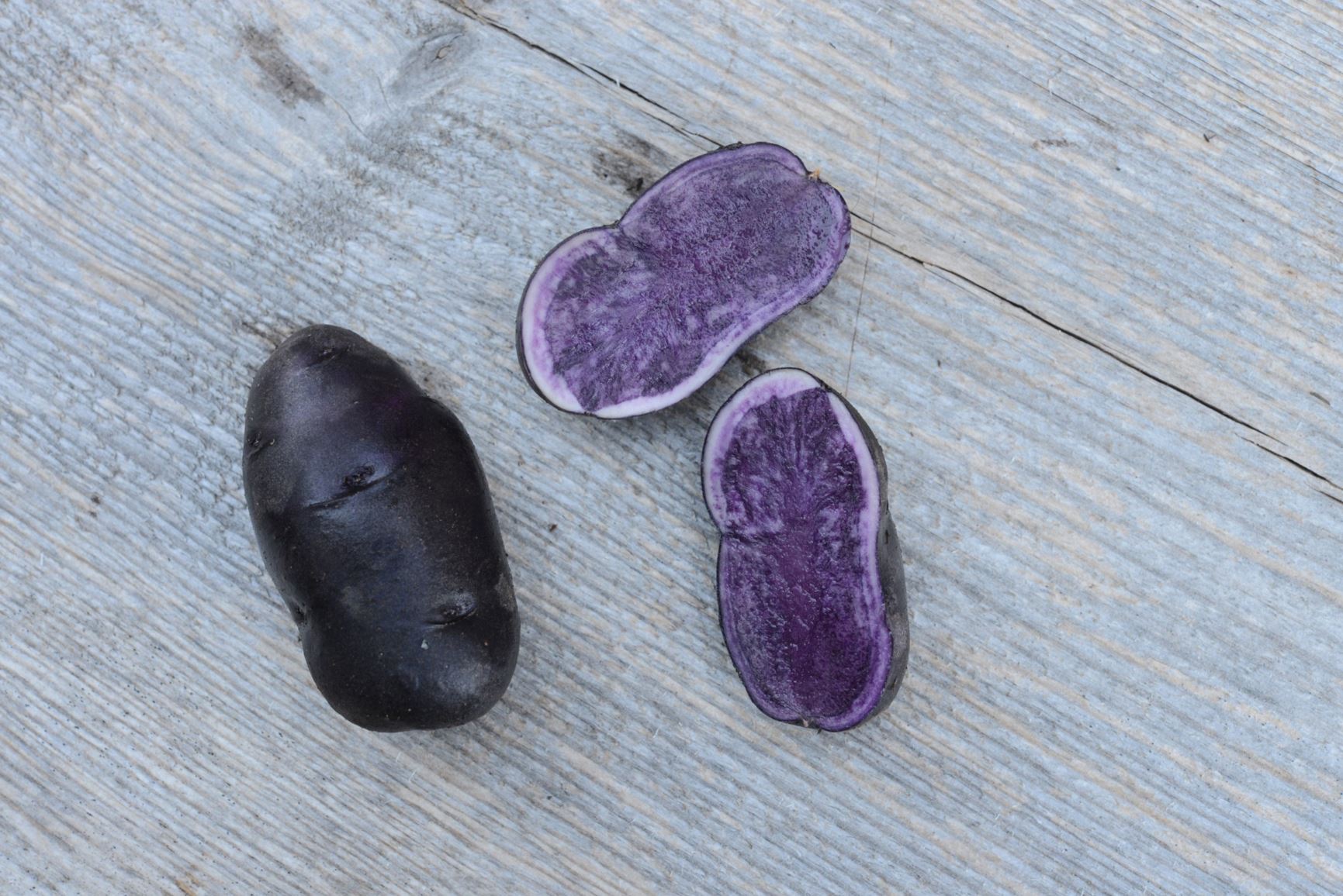 Solanum tuberosum 'Svartpotet fra Vegårdshei' - Potet 'Svartpotet fra Vegårdshei'
