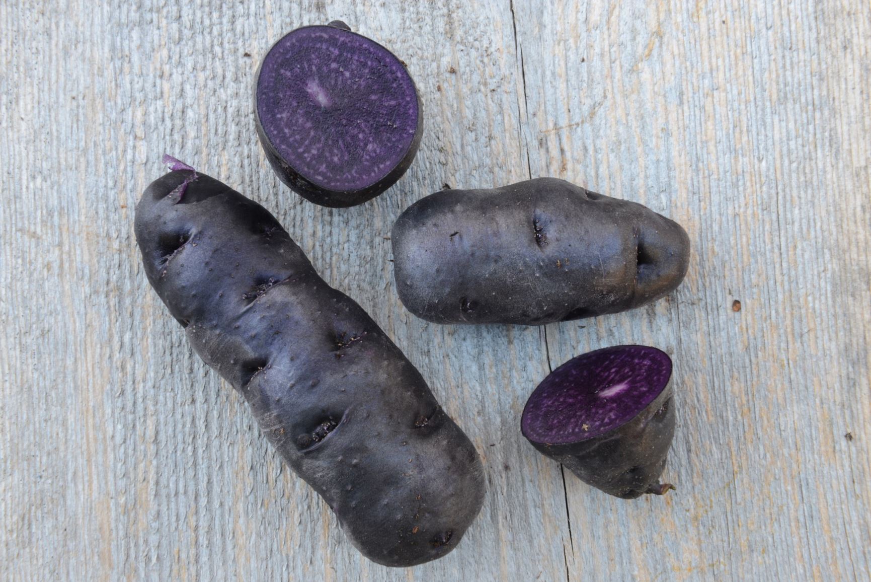 Solanum tuberosum 'Purple Peruvian' - Potet 'Purple Peruvian'